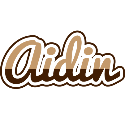 Aidin exclusive logo