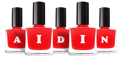 Aidin fashion logo