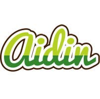 Aidin golfing logo