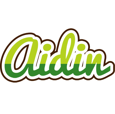 Aidin golfing logo