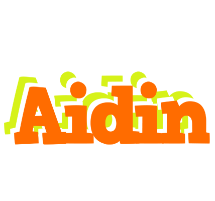 Aidin healthy logo