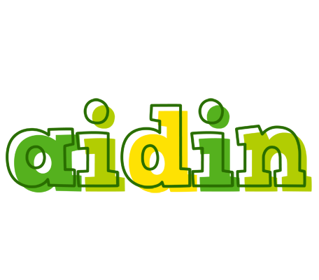 Aidin juice logo