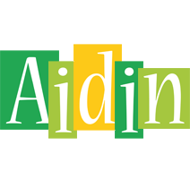 Aidin lemonade logo
