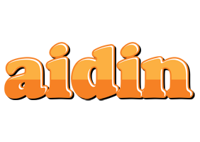 Aidin orange logo