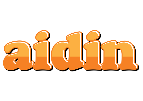 Aidin orange logo
