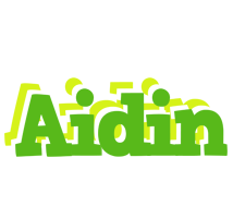 Aidin picnic logo