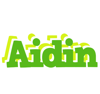 Aidin picnic logo