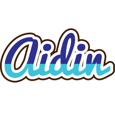 Aidin raining logo
