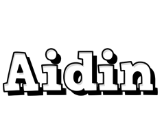 Aidin snowing logo
