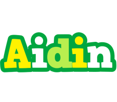 Aidin soccer logo