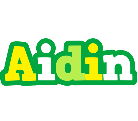 Aidin soccer logo