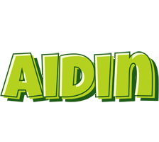 Aidin summer logo