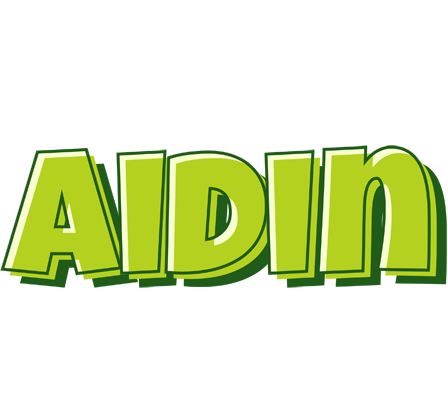 Aidin summer logo