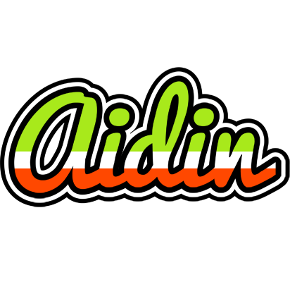 Aidin superfun logo