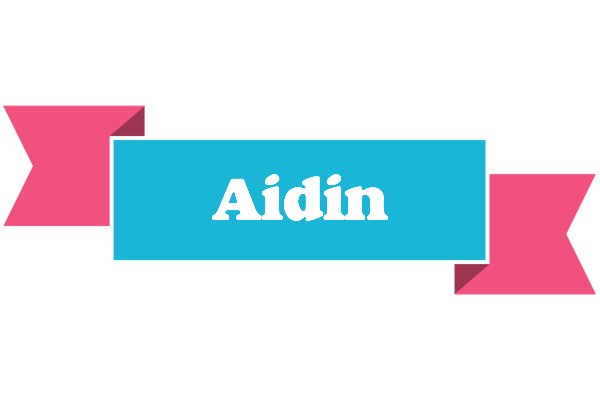 Aidin today logo
