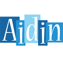 Aidin winter logo