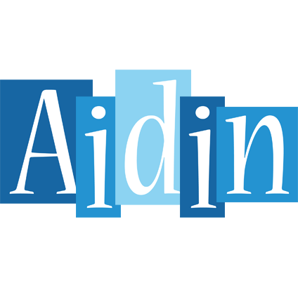 Aidin winter logo