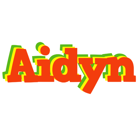 Aidyn bbq logo