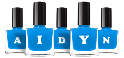 Aidyn glossy logo
