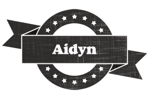 Aidyn grunge logo