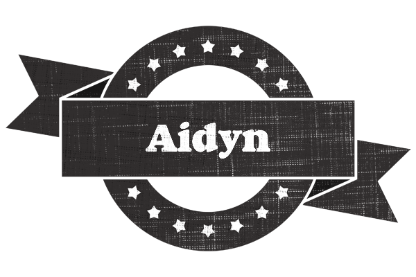 Aidyn grunge logo