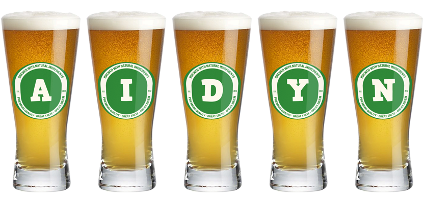 Aidyn lager logo