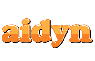 Aidyn orange logo
