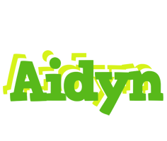 Aidyn picnic logo