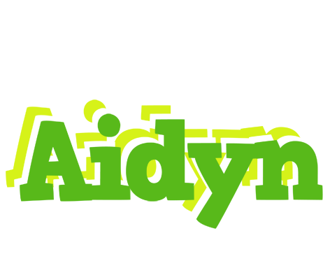 Aidyn picnic logo
