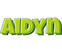 Aidyn summer logo