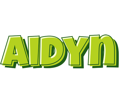 Aidyn summer logo