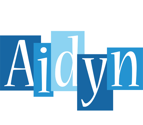 Aidyn winter logo