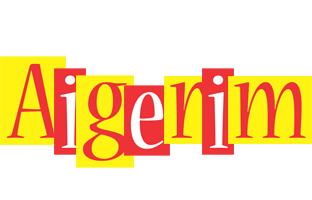 Aigerim errors logo