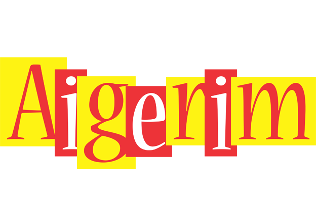 Aigerim errors logo