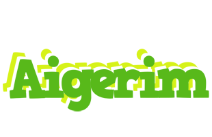 Aigerim picnic logo