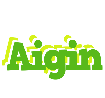Aigin picnic logo