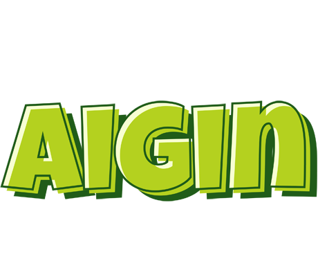 Aigin summer logo