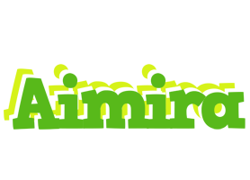Aimira picnic logo