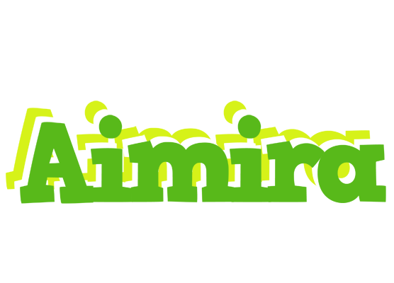 Aimira picnic logo