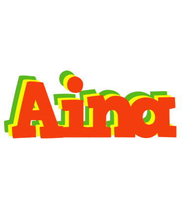 Aina bbq logo