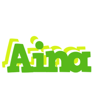 Aina picnic logo