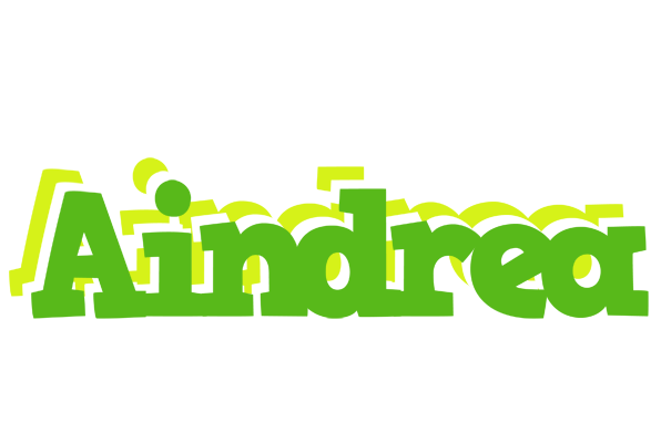 Aindrea picnic logo