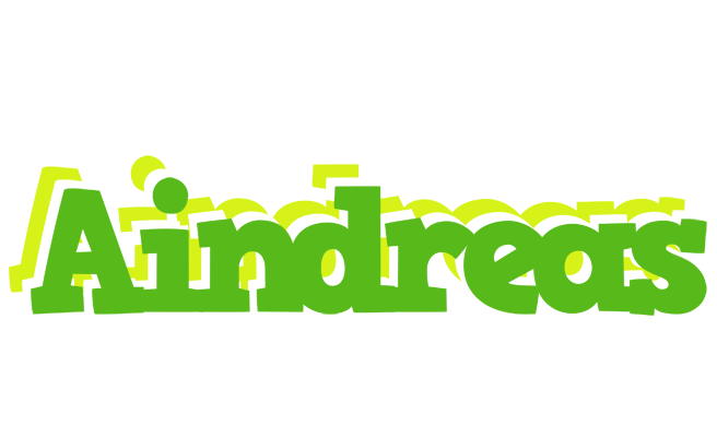 Aindreas picnic logo