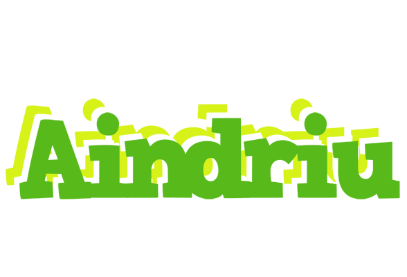 Aindriu picnic logo