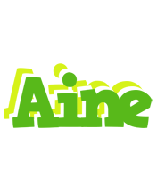 Aine picnic logo