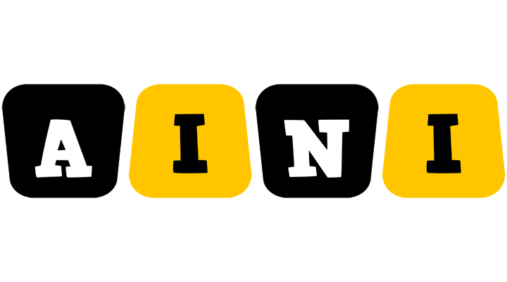 Aini boots logo