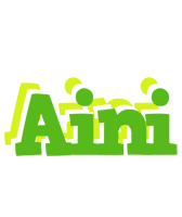 Aini picnic logo