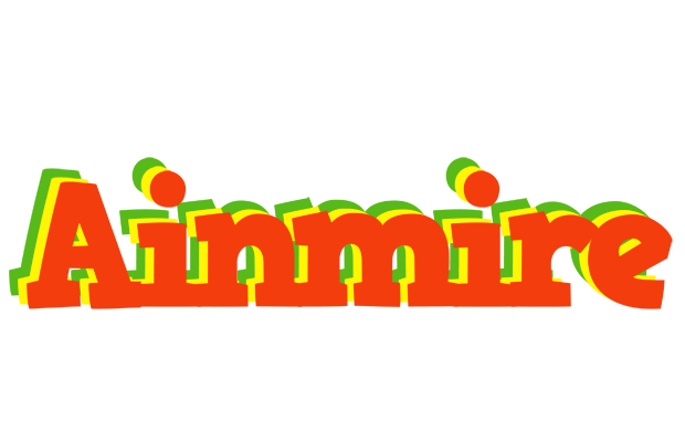Ainmire bbq logo
