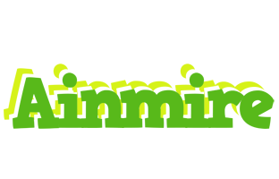 Ainmire picnic logo