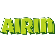 Airin summer logo